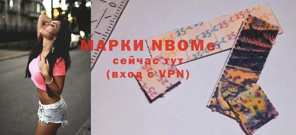 мет Алексин