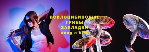 мет Алексин