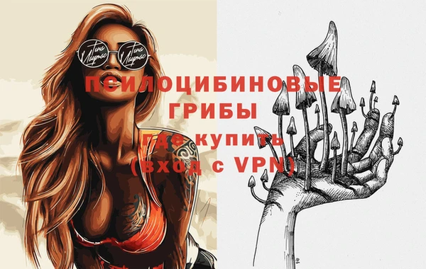 мет Алексин