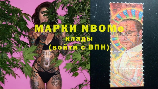 мет Алексин